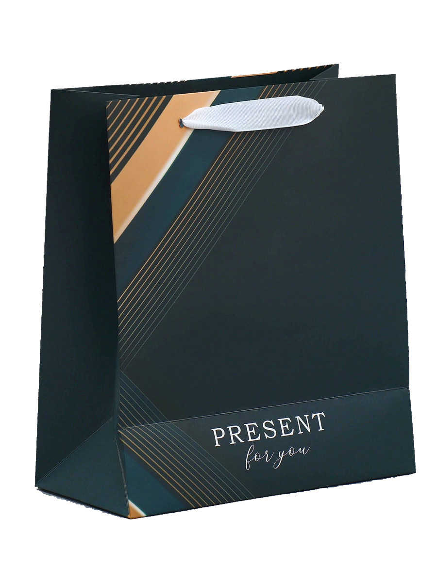 Пакет "Present for you" ламинированный вертикальный, ML 27х23х11 см